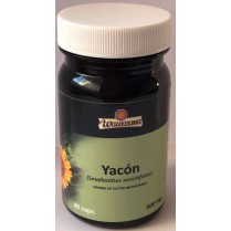Yacon (Smallanthus sonchifolius)